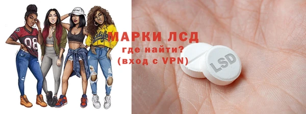 индика Армянск