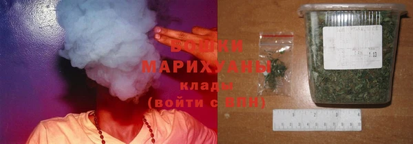 индика Армянск