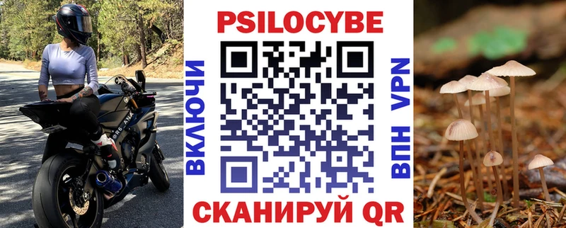 Псилоцибиновые грибы Psilocybine cubensis  mega зеркало  Новотроицк 